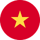 Vietnam flag